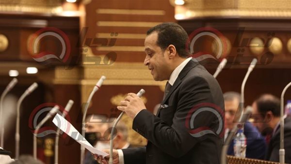 النائب خالد أبو الوفا