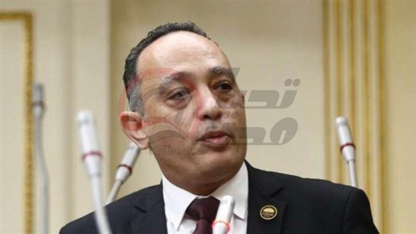 النائب فريدي البياضي