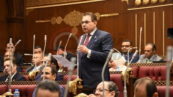 النائب فرج فتحي عضو