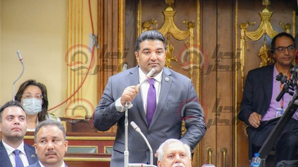 النائب محمود عصام