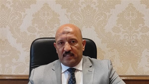 النائب أحمد الحديدي