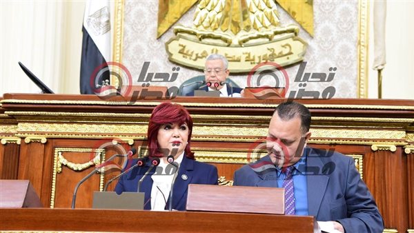 النائبة نورا علي