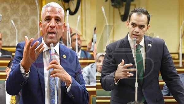 النائب محمد الحسيني