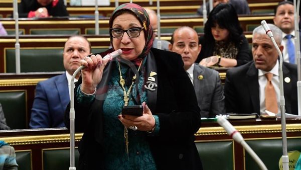 النائبة إيناس عبد