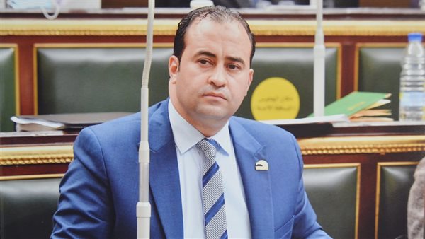 النائب سامح حبيب