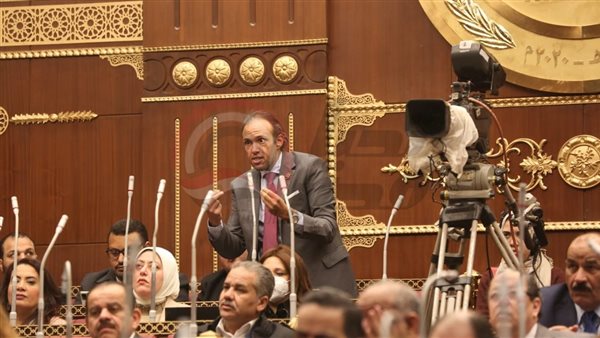 النائب محمد فريد