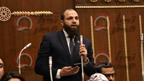 النائب محمود تركي