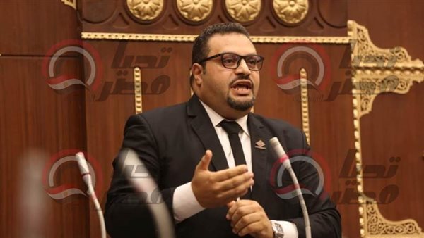 النائب احمد القناوى