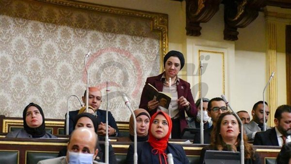 النائبة أميرة صابر