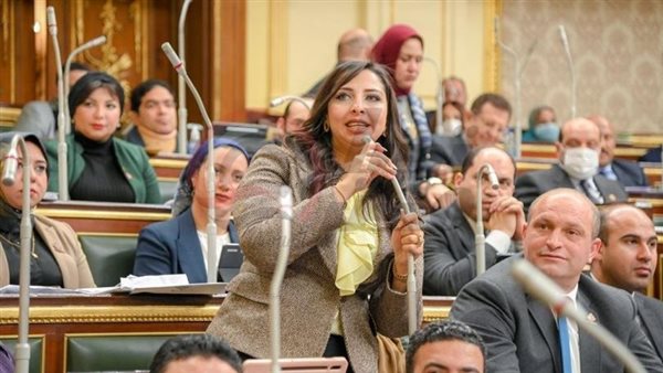 النائبة نشوى الشريف