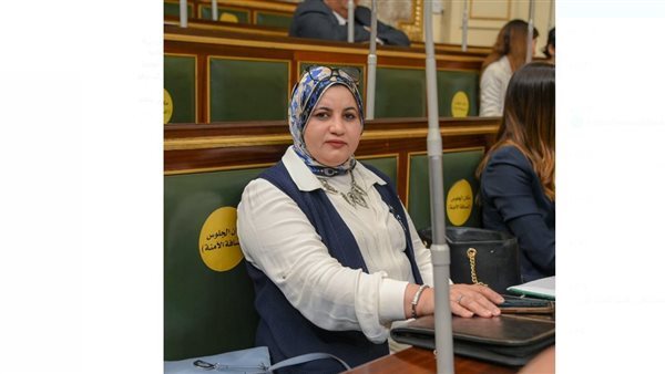 النائبة عفاف زهران