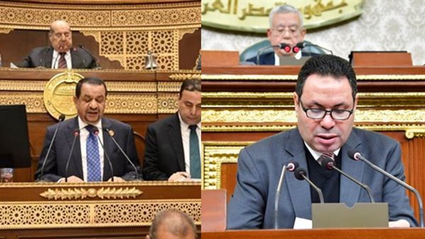 النائب هشام الحصري