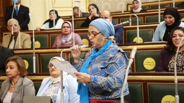 النائبة سميرة الجزار