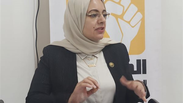 النائبة ريهام عبدالنبي