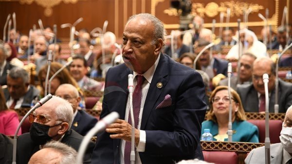 النائب هاني العسال