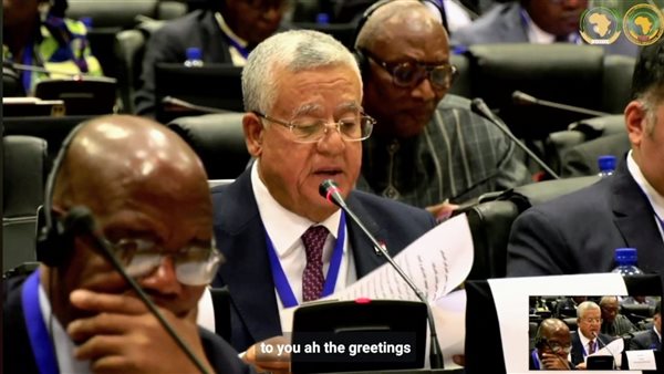 المستشار الدكتور