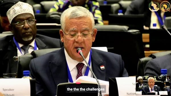 المستشار الدكتور