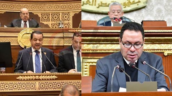 النائب هشام الحصري