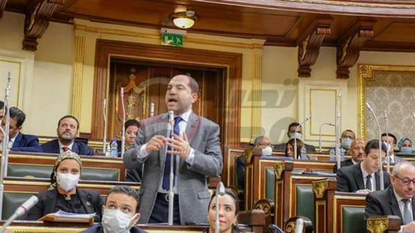 النائب عمرو درويش