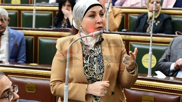 النائبة هالة ابو