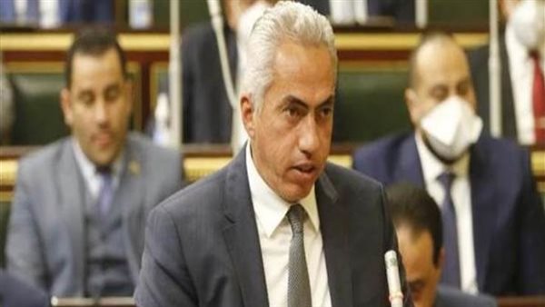 النائب عمرو السنباطى