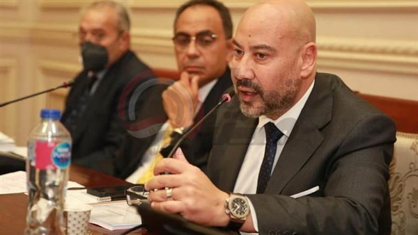 النائب ياسر زكي وكيل