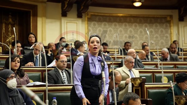 النائبة غادة علي