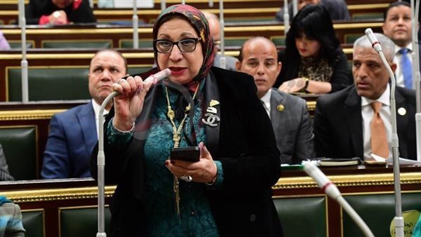 النائبة ايناس عبد