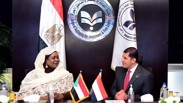 رئيس هيئة الاستثمار