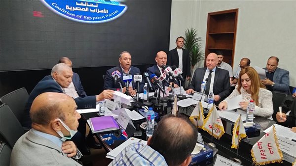 النائبة جيهان البيومي