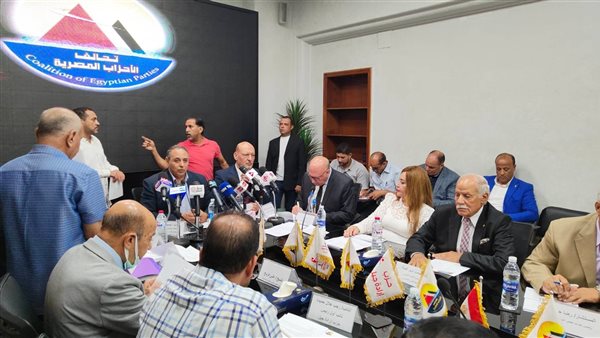 نائب رئيس الحركة