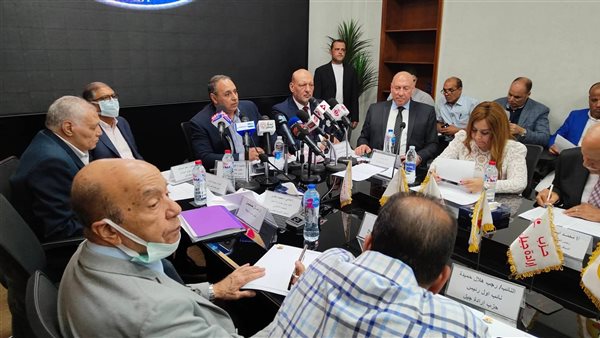 رئيس حزب مصر المستقبل