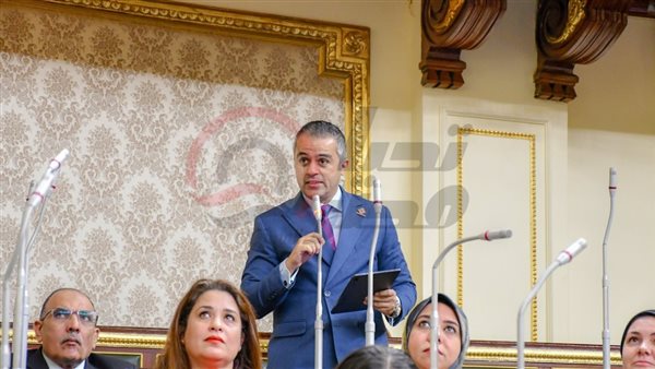 النائب احمد فتحي