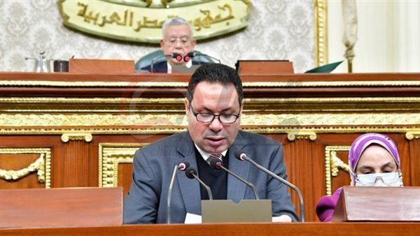 النائب هشام الحصرى