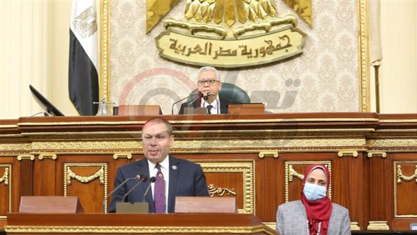 النائب هشام الحصري