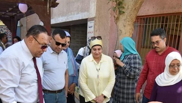 محافظ الفيوم 