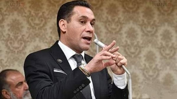 النائب أحمد عاشور