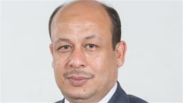 النائب سمير البيومي