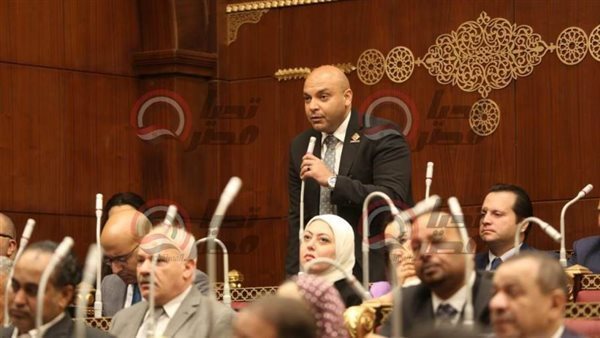 النائب محمود القط