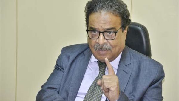 رئيس حزب المصرى الديمقراطى