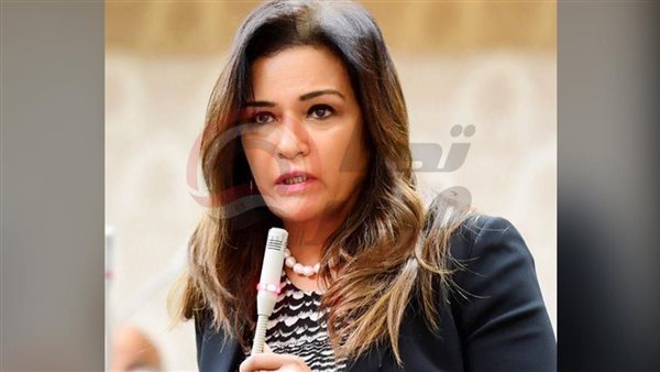 النائبة سحر طلعت