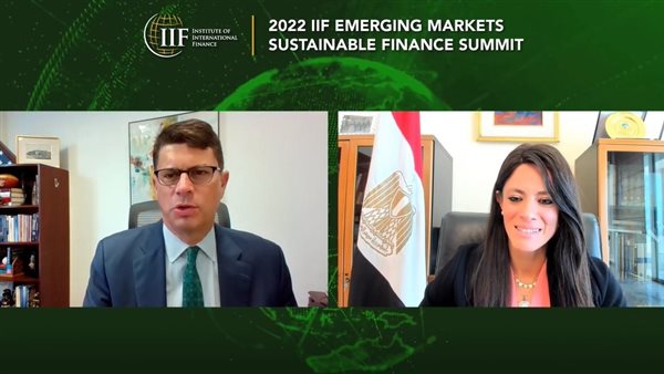 الدكتورة رانيا المشاط