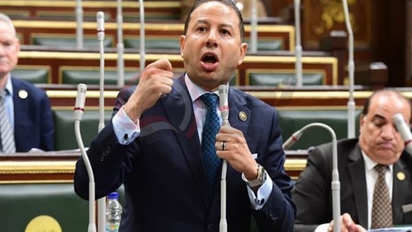 النائب حسن عمار عضو