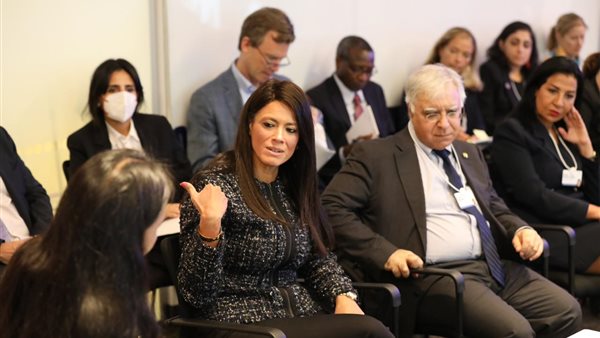 رانيا المشاط