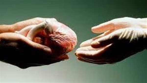 التبرع بالأعضاء 