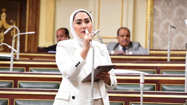 النائبة أيه فوزي