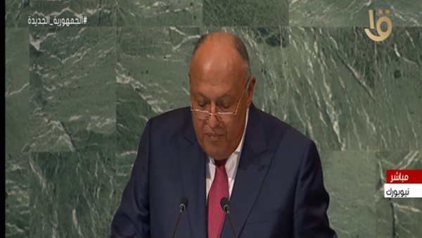 وزير الخارجية / سامح