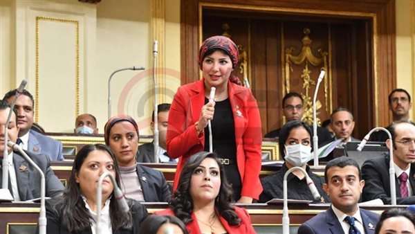 النائبة رشا أبو شقرة