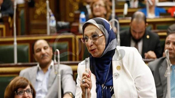 النائبة إيناس عبد