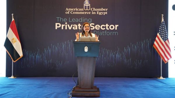 وزيرة التخطيط